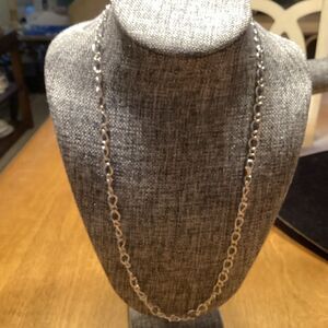 NWOT. Silvertone Oval and Round Twisted Link Necklace 24”